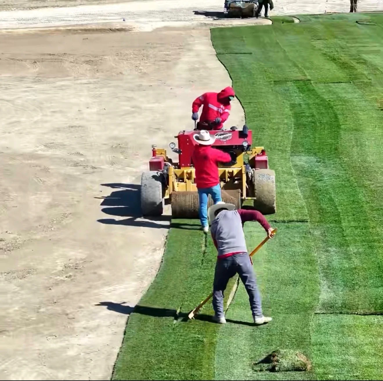 Crew installing a strip of green turf beside graded bare ground.